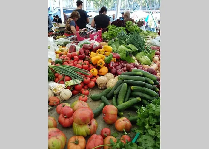 Pn48 1º Iris Esq شقة كاسكايس